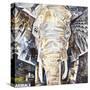 Elephants Gaze-James Grey-Stretched Canvas