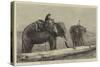 Elephants Hauling Timber in Burmah-null-Stretched Canvas