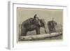 Elephants Hauling Timber in Burmah-null-Framed Giclee Print