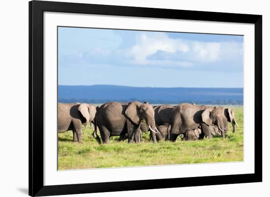 Elephants Herd on African Savanna. Safari in Amboseli, Kenya, Africa-Michal Bednarek-Framed Photographic Print