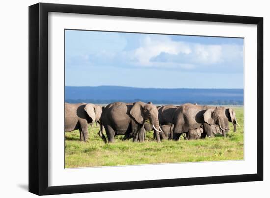 Elephants Herd on African Savanna. Safari in Amboseli, Kenya, Africa-Michal Bednarek-Framed Photographic Print