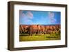 Elephants Herd on African Savanna. Safari in Amboseli, Kenya, Africa-Michal Bednarek-Framed Photographic Print