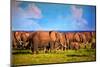 Elephants Herd on African Savanna. Safari in Amboseli, Kenya, Africa-Michal Bednarek-Mounted Photographic Print