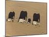 Elephants in Damaraland District, Namibia-Michael Poliza-Mounted Art Print