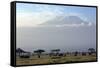 Elephants in Front of Mount Kilimanjaro, Kenya-Paul Joynson-Framed Stretched Canvas