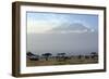 Elephants in Front of Mount Kilimanjaro, Kenya-Paul Joynson-Framed Photographic Print