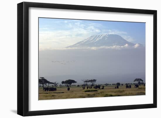 Elephants in Front of Mount Kilimanjaro, Kenya-Paul Joynson-Framed Photographic Print