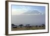 Elephants in Front of Mount Kilimanjaro, Kenya-Paul Joynson-Framed Photographic Print