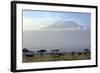 Elephants in Front of Mount Kilimanjaro, Kenya-Paul Joynson-Framed Photographic Print