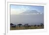 Elephants in Front of Mount Kilimanjaro, Kenya-Paul Joynson-Framed Photographic Print