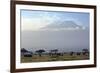 Elephants in Front of Mount Kilimanjaro, Kenya-Paul Joynson-Framed Photographic Print