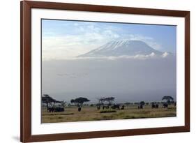 Elephants in Front of Mount Kilimanjaro, Kenya-Paul Joynson-Framed Photographic Print