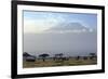 Elephants in Front of Mount Kilimanjaro, Kenya-Paul Joynson-Framed Photographic Print