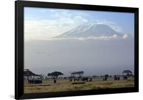 Elephants in Front of Mount Kilimanjaro, Kenya-Paul Joynson-Framed Photographic Print