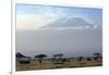 Elephants in Front of Mount Kilimanjaro, Kenya-Paul Joynson-Framed Photographic Print