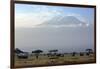 Elephants in Front of Mount Kilimanjaro, Kenya-Paul Joynson-Framed Photographic Print