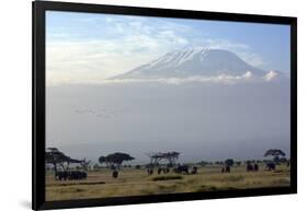 Elephants in Front of Mount Kilimanjaro, Kenya-Paul Joynson-Framed Photographic Print