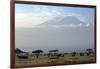 Elephants in Front of Mount Kilimanjaro, Kenya-Paul Joynson-Framed Premium Photographic Print