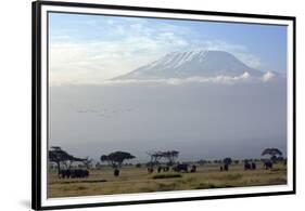 Elephants in Front of Mount Kilimanjaro, Kenya-Paul Joynson-Framed Premium Photographic Print