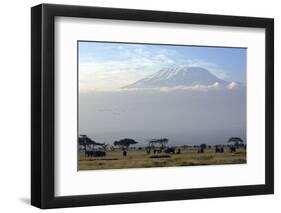 Elephants in Front of Mount Kilimanjaro, Kenya-Paul Joynson-Framed Photographic Print