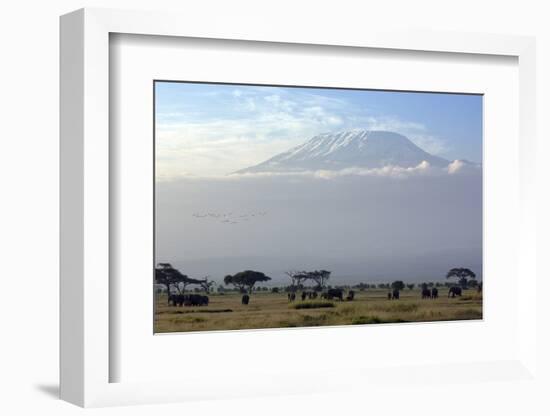 Elephants in Front of Mount Kilimanjaro, Kenya-Paul Joynson-Framed Photographic Print