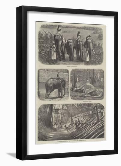 Elephants in India-null-Framed Giclee Print
