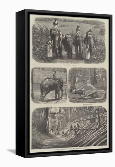Elephants in India-null-Framed Stretched Canvas