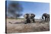 Elephants in Mud Hole, Botswana-Paul Souders-Stretched Canvas