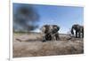 Elephants in Mud Hole, Botswana-Paul Souders-Framed Photographic Print