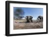 Elephants in Mud Hole, Botswana-Paul Souders-Framed Photographic Print