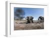 Elephants in Mud Hole, Botswana-Paul Souders-Framed Photographic Print