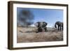 Elephants in Mud Hole, Botswana-Paul Souders-Framed Photographic Print