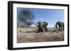 Elephants in Mud Hole, Botswana-Paul Souders-Framed Photographic Print