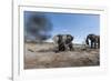 Elephants in Mud Hole, Botswana-Paul Souders-Framed Photographic Print