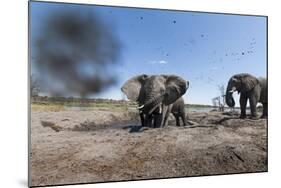 Elephants in Mud Hole, Botswana-Paul Souders-Mounted Photographic Print