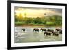 Elephants in River-Givaga-Framed Photographic Print