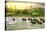 Elephants in River-Givaga-Stretched Canvas