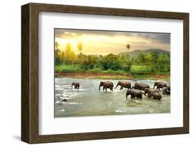 Elephants in River-Givaga-Framed Photographic Print