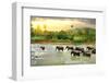 Elephants in River-Givaga-Framed Photographic Print