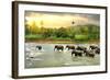 Elephants in River-Givaga-Framed Photographic Print