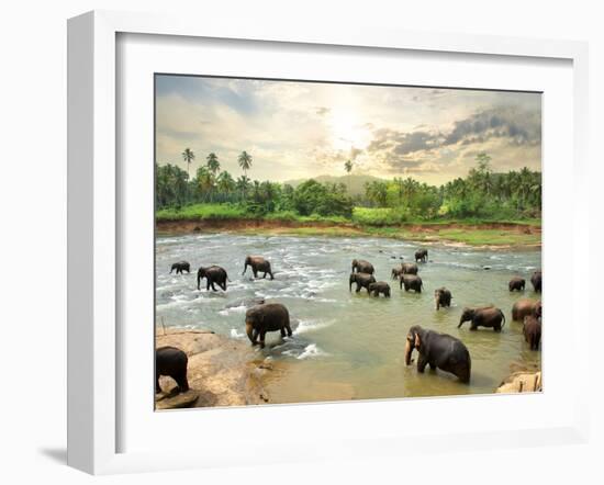 Elephants in Water-Givaga-Framed Photographic Print