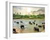Elephants in Water-Givaga-Framed Photographic Print