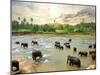 Elephants in Water-Givaga-Mounted Photographic Print