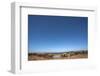 Elephants (Loxodonta Africana) at Water, Addo Elephant National Park, South Africa, Africa-Ann and Steve Toon-Framed Photographic Print