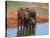 Elephants (Loxodonta Africana) at Water Hole, Tsavo East National Park, Kenya, East Africa, Africa-Sergio Pitamitz-Stretched Canvas