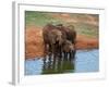 Elephants (Loxodonta Africana) at Water Hole, Tsavo East National Park, Kenya, East Africa, Africa-Sergio Pitamitz-Framed Photographic Print