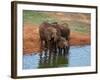 Elephants (Loxodonta Africana) at Water Hole, Tsavo East National Park, Kenya, East Africa, Africa-Sergio Pitamitz-Framed Photographic Print