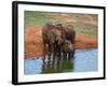 Elephants (Loxodonta Africana) at Water Hole, Tsavo East National Park, Kenya, East Africa, Africa-Sergio Pitamitz-Framed Photographic Print