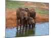 Elephants (Loxodonta Africana) at Water Hole, Tsavo East National Park, Kenya, East Africa, Africa-Sergio Pitamitz-Mounted Photographic Print