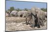 Elephants (Loxodonta Africana), Etosha National Park, Namibia, Africa-Ann and Steve Toon-Mounted Photographic Print